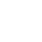 Instagramikon